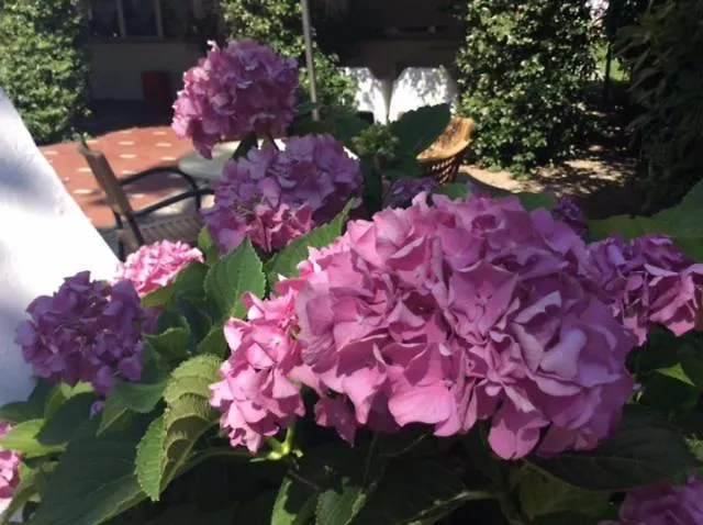 Everest * Cesenatico